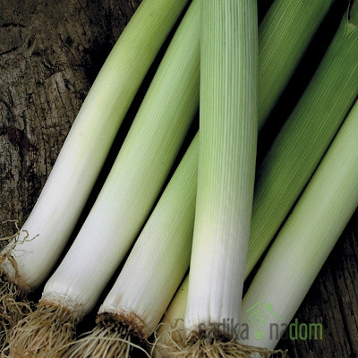 Sjeme BIO Poriluk Carentan