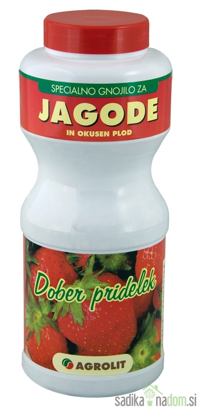 Agrolit gnojivo za jagode