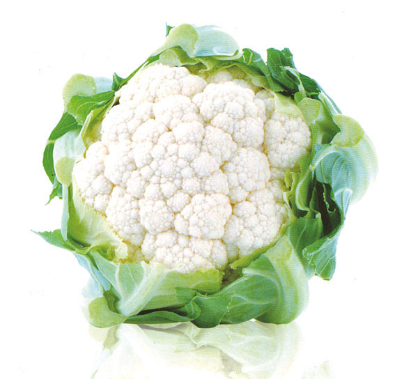 Sjeme Cvjetača Di Jesi 2