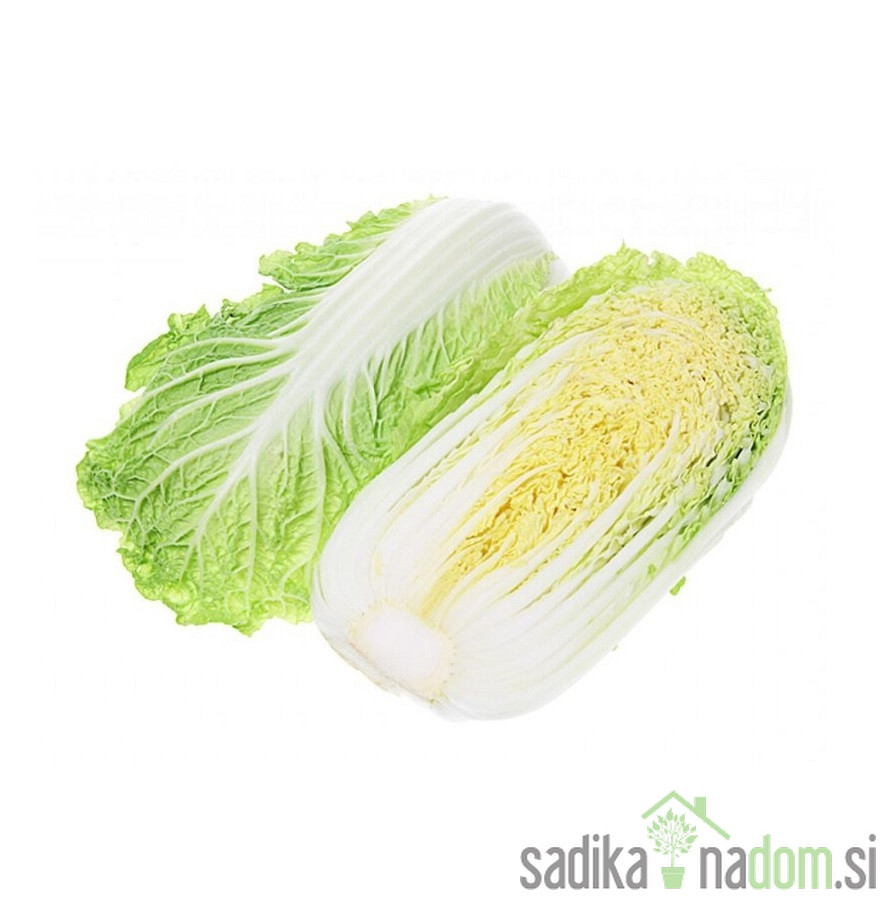 Sjeme kineski kupus Granat