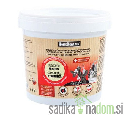 Mikoriza 
