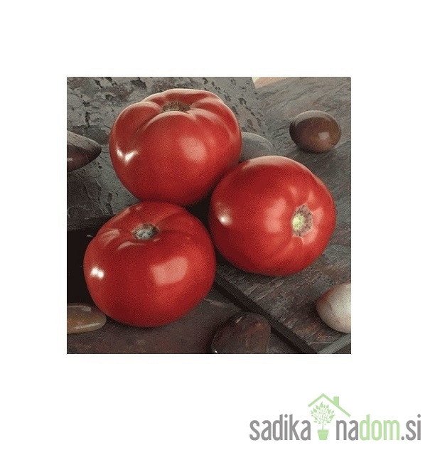 Sjeme rajčica Bellarossa - PROFI
