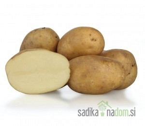 Sjemenski krumpir KIS Sora