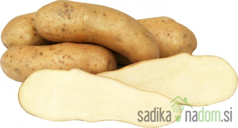 Sjemenski krumpir Kresnik