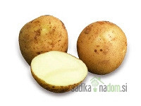 Sjemenski krumpir La Strada