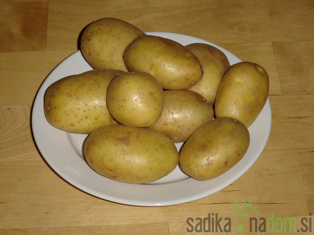 Sjemenski krumpir Marabel