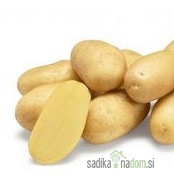 Sjemenski krumpir Ranomi