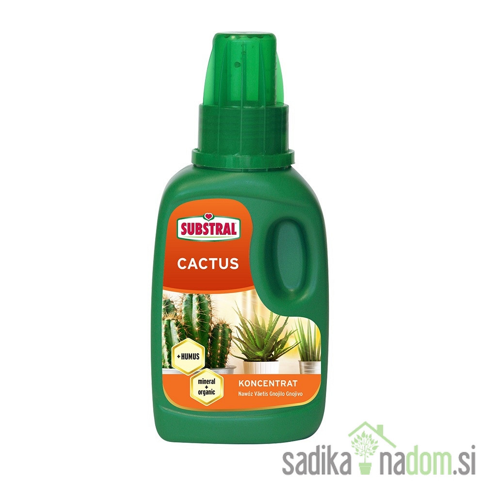 Substral gnojivo za kaktuse, sukulente i bonsai