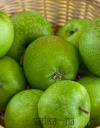 Jabuka Granny Smith