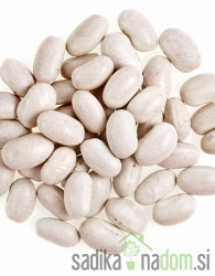 Sjeme Grah Tetovac Kiro