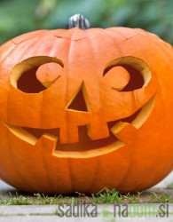 Tikva Noć vještica / Halloween 