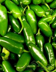 Sjeme Chili Jalapeno
