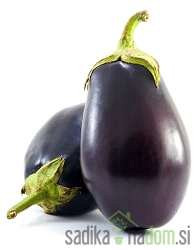 Patlidžan Black Bell