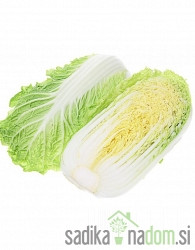 Sjeme kineski kupus Granat