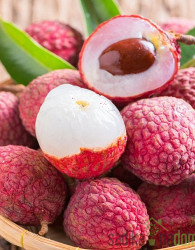 Liči (Litchi chinensis)