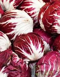 Radič crveni Palla Rossa 5