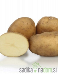 Sjemenski krumpir KIS Krka