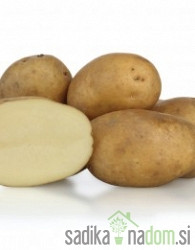 Sjemenski krumpir KIS Sora