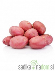 Sjemenski krumpir Memphis - ZAMJENSKA SORTA ZA DESIREE