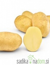 Sjemenski krumpir Natalia