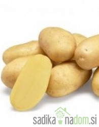 Sjemenski krumpir Ranomi