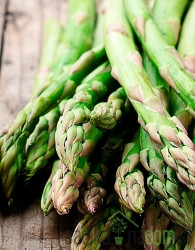 Sjeme Šparoga / Asparagus