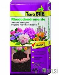 Zemlja za rododendrone kisela Brill 