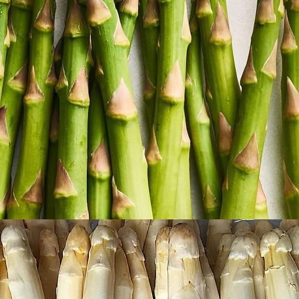 Šparoge Gijnlim - rodne (CIJENA ZA 10 KOM)