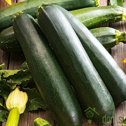 Sjeme tikvice Nero di Milano 958