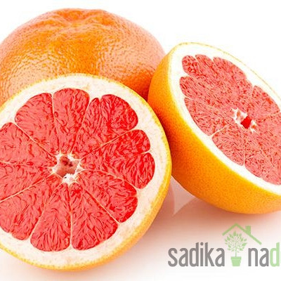 Grejpfrut Star Ruby