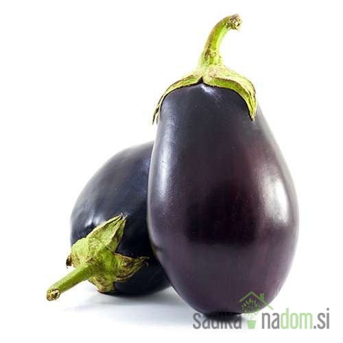 Patlidžan Black Bell