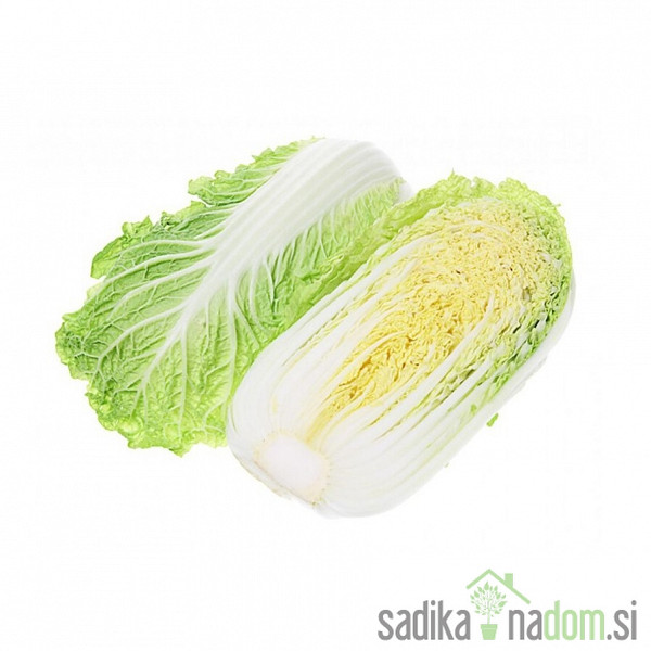 Sjeme kineski kupus Granat