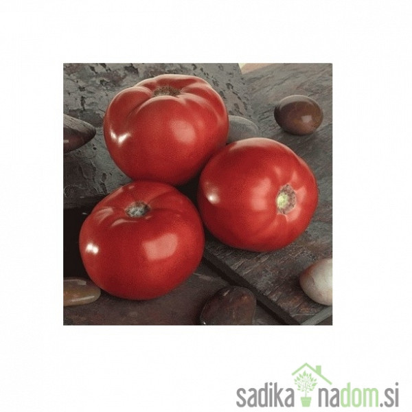 Sjeme rajčica Bellarossa - PROFI