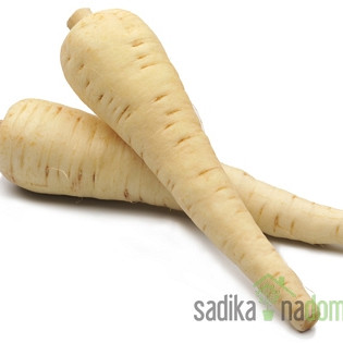 Sjeme Pastrnjak Dugi bijeli glatki