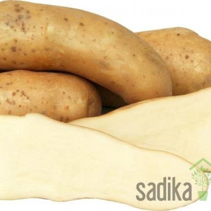 Sjemenski krumpir Kresnik