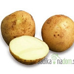 Sjemenski krumpir La Strada