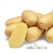 Sjemenski krumpir Ranomi