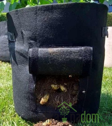 PlantIN vreća za sadnju - Homeogarden